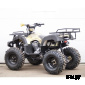 Квадроцикл STALKER 250