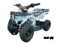 Квадроцикл ATV Target Next