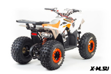 Квадроцикл MOTOLAND (МОТОЛЕНД) 125 COYOTE