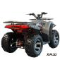Квадроцикл Фаворит Q-Trek 150