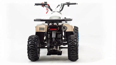 Квадроцикл MOTOLAND (МОТОЛЕНД) 110 EAGLE